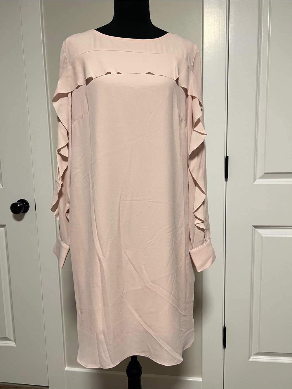 Banana Republic Pale Pink Ruffle Long-Sleeve Shift Dress